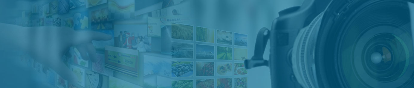 gallery_banner