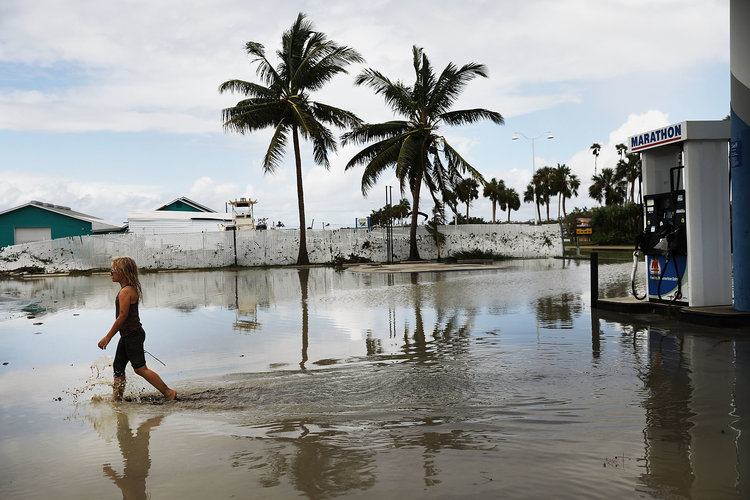 miami flooded