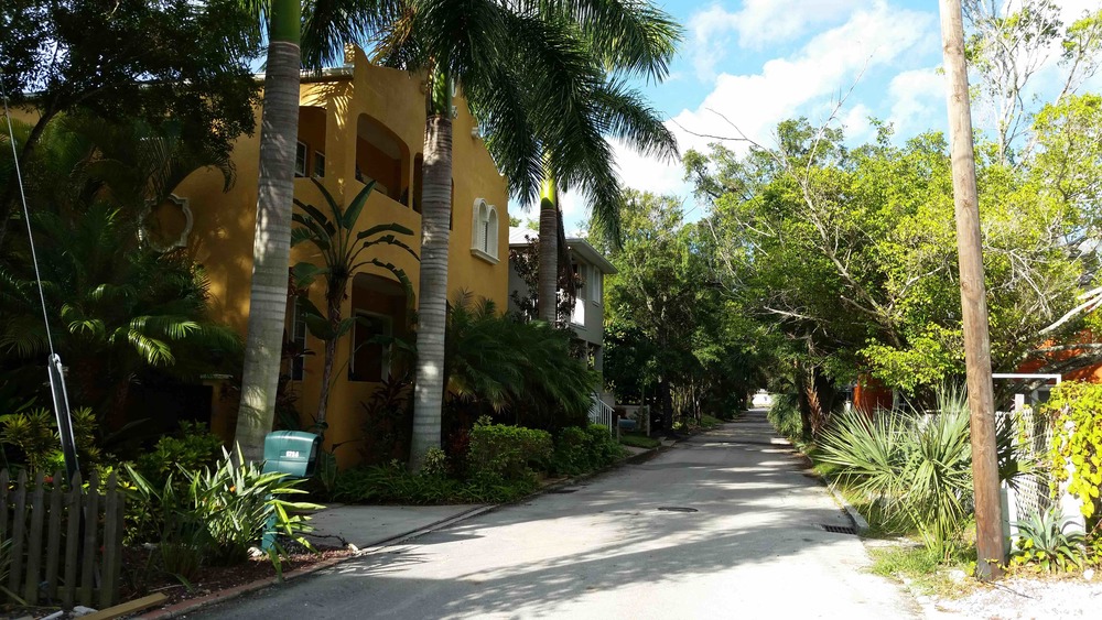 cherrylane1.jpg