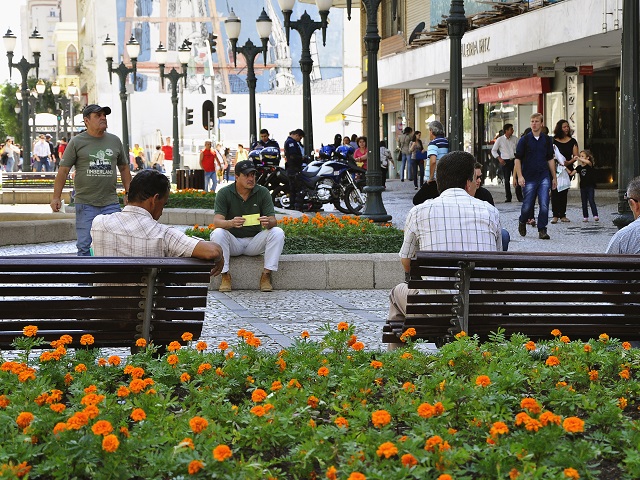brazil public space flowers https://www.flickr.com/photos/wricidades/24313156670/in/album-72157663883247586/