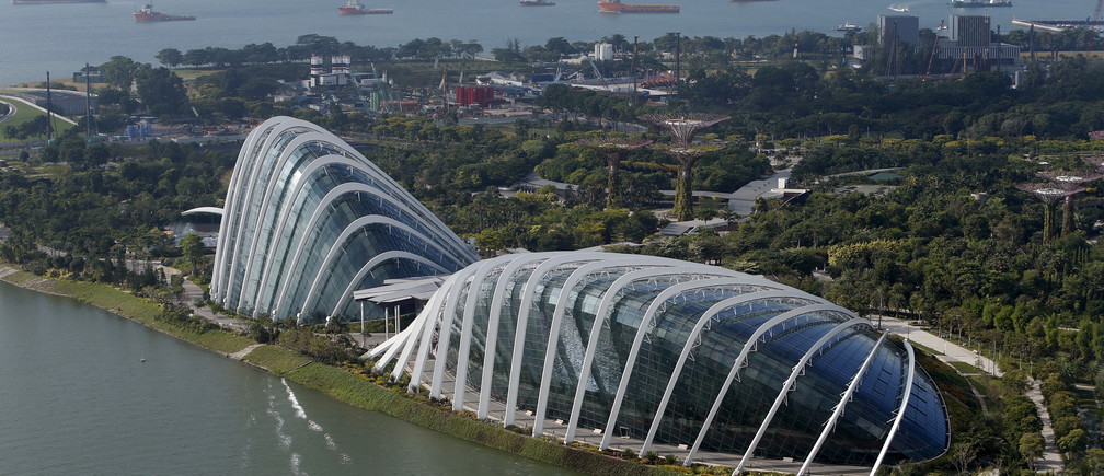 Vessels anchor along the southern coast next to the Flower Dome and Cloud Forest conservatories at the Gardens by the Bay in Singapore July 16, 2015. Singapore marks 50 years of independence in a series of Golden Jubilee celebrations on Sunday. Picture taken July 16, 2015. REUTERS/Edgar Su - GF20000016392