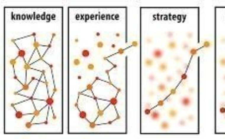 10 Essential Skills For Any Business And Management Process in Organization – Urban Projectization