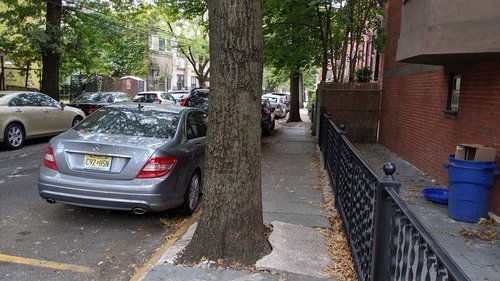 Sidewalk with a tree trunk in Hoboken, New Jersey.