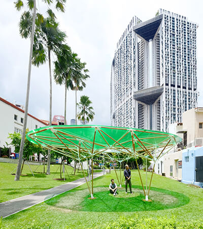 bamboo construction sombra verde