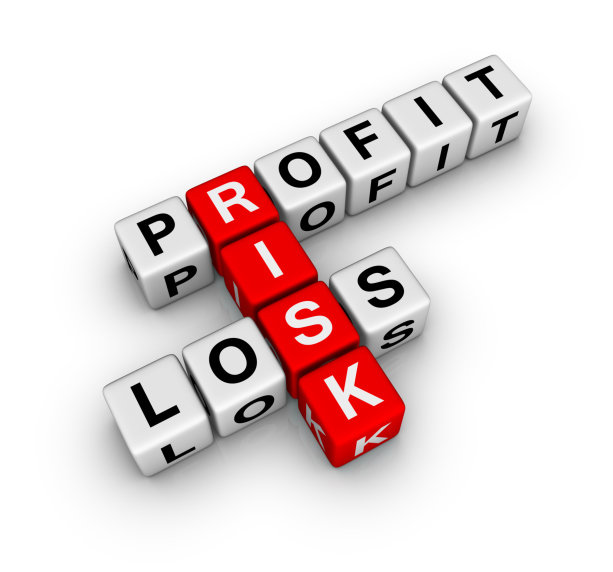 Each Company need 2 Risk Management Approaches