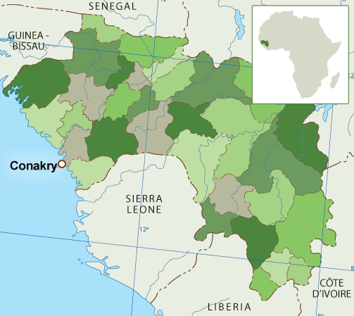 Image result for conakry development