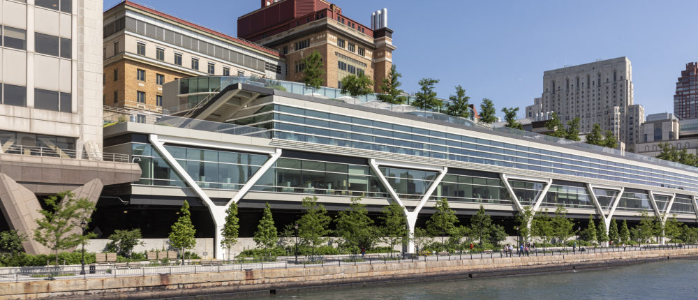 Rockefeller University Esplanade