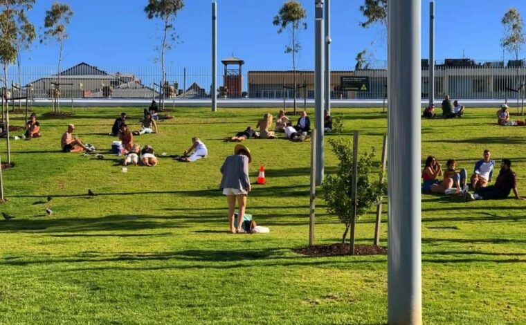 Public Landscape – Urban Projectization