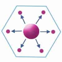K = 7 Administrative principle